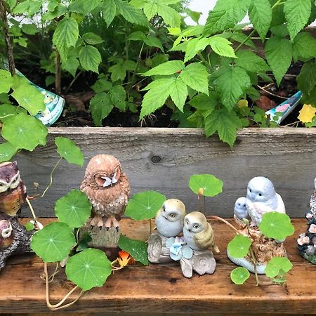巴恩斯特珀尔Owly 'Ouse住宿加早餐旅馆 外观 照片